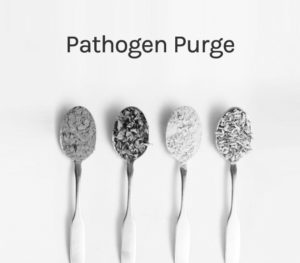 Step 2 - The Pathogen Purge
